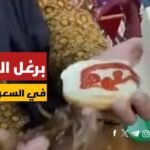 أكلة برغر الجراد في السعودية الدستور